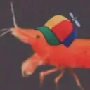 sqwigly
