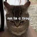 nindarkk