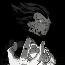 vegeta_4453_81166