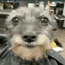 rj._1235