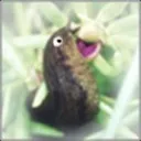 frostycoolslug