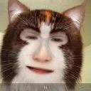 nihaofinhuzz