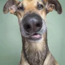 Аватар andrews.0331_00085