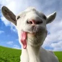 goatsinho