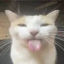 ctaa2