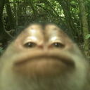 rockk1037_92596 member profile picture
