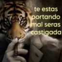 real_stricker_82512 avatar