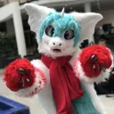 rakurim