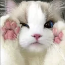 jespopomat