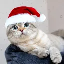 Аватар yarik5140124