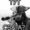 fikus_qwq
