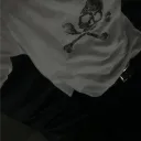 stealrs