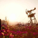 Avatar for John marston