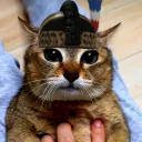 berserker_tole avatar