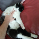 maurits0101#9183's avatar