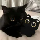 ohhellokira