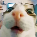 chankuchi