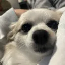 jojo_7710