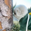 bunnco