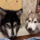 notjxny