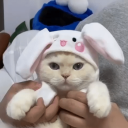 avatar R e n e e  ≽^•༚•🎀≼