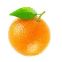 orangecommunicationsguy