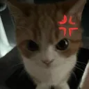 cushin_17