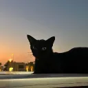 neko_chan_0_0
