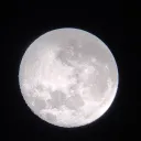dumbbitchjuice0794
