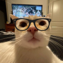 avatar invincible is peak fyi