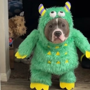 Discord Avatar