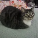 Аватар tempich_