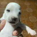 _1itadori1__06799 avatar