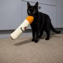 mwyxxo
