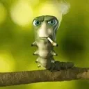 2jmq