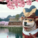 hddroll