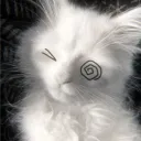 deathnoteisfire33 avatar