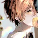 steargaze