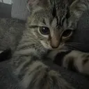 billieavocad0