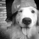 mystikz00