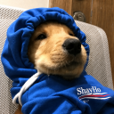 shayho