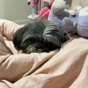 Fwairy’s Farm [105]