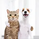 sosigissocool1