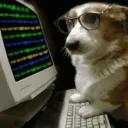 xhacking1aa