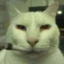 confientilines avatar