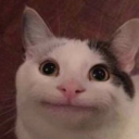 greenerthenme's Avatar