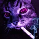 k0t3l._.