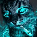 k0t3l._.