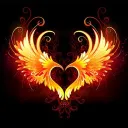 pheonix_xz.