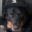 oliversodabw